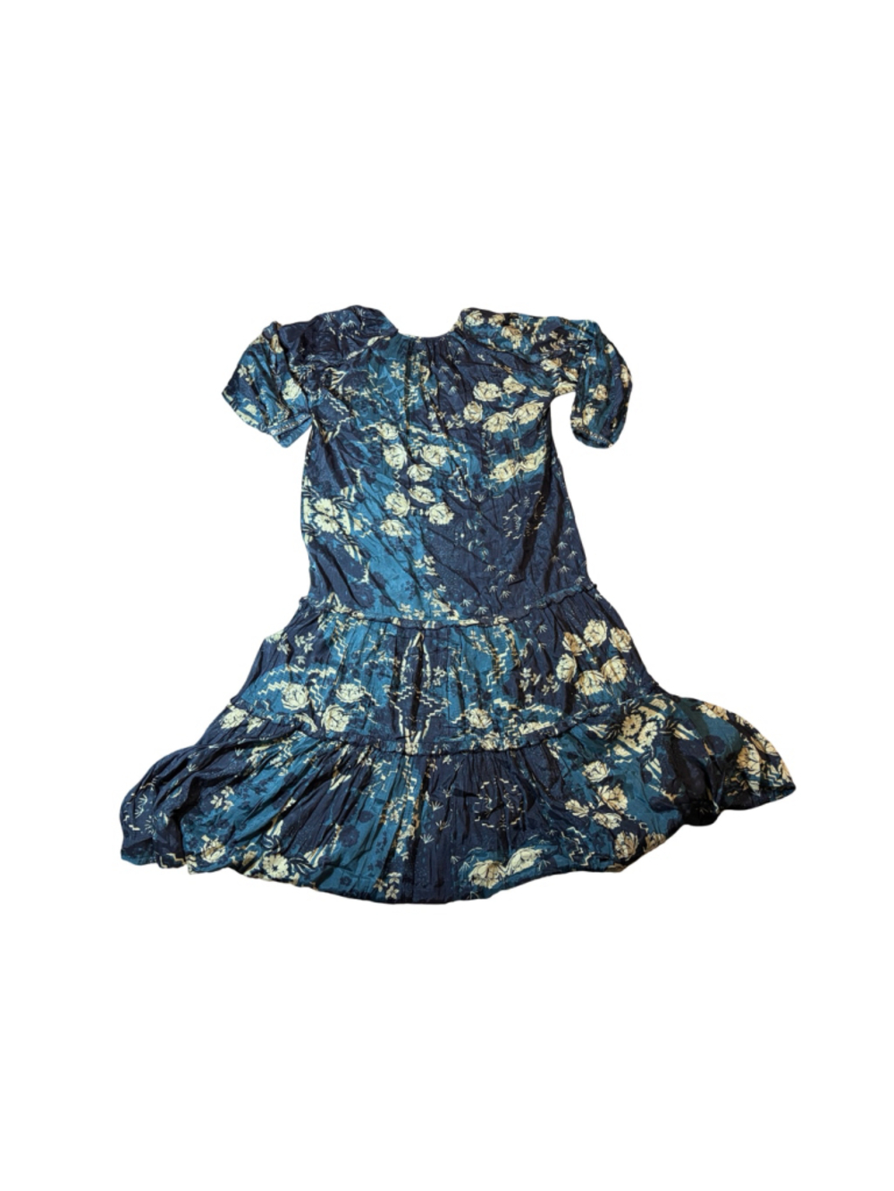 Natural Life Women’s Large Blue Floral Boho Tiered Puff Sleeve Mini Dress

Read